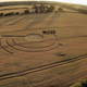 Illustration for article titled The Most Astonishing Crop Circle Artworks of 2014